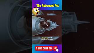 Laika The Astronaut Pet laika curiosity astronaut space nasa facts wow eeuu shortsfeed [upl. by Janean]