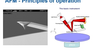 Atomic Force Microscopy AFM for Polymer Characterization and Analysis [upl. by Yendys]