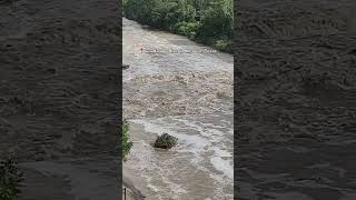 Guadalupe River in Kerrville Texas [upl. by Blodgett]