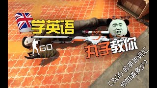 Learning English in CSGO  不学两句英文怎么打CSGO？实用英文教学 第一期 [upl. by Irek]