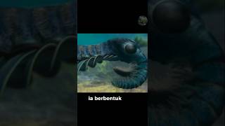 Anomalocaris pemburu dari laut purba [upl. by Zollie]