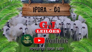 GJ LEILÕES  IPORÁ GOIAS 16052024 [upl. by Ellesig499]