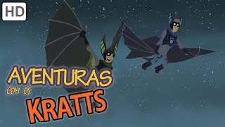 Aventuras com os Kratts  Como viver a vida aventurosa 1 HORA [upl. by Pet]