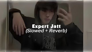 Expert Jatt Remix Slowed  Reverb  Attitude Anthem [upl. by Raquel]