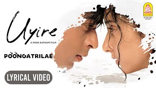 Uyire  Poongatrilae  Lyric Video  Shah Rukh Khan  Manisha Koirala  AR Rahman  Ayngaran [upl. by Kaczer]