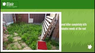 Elixir Gardens Glyphosate Commercial Industrial Strength Weed Killer to buy click the link in descri [upl. by Seibold]