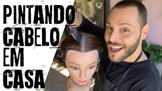 RETOCANDO A RAIZ EM CASA PINTANDO O CABELO SOZINHA  Nicole Vieira [upl. by Aket]