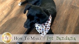 How to Make a Pet Bandana  a Shabby Fabrics Sewing Tutorial [upl. by Wina]