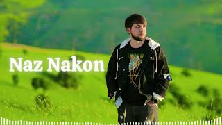 Naz Nakon cover by ali [upl. by Whorton]