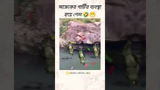 Aby to Party 😃😎funny shortsfeed short subscribe music love badshah song superduck newsong [upl. by Lovich]