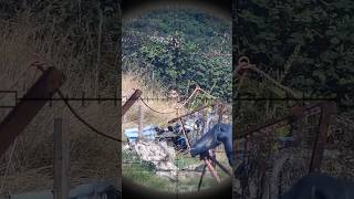 Headshots🎯 Airsoft sniper shorts video viralvideo [upl. by Einolem]