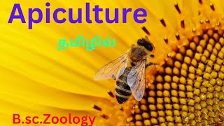 1 bsc zoology apiculture in tamil introduction to zoology foundation course in tamil honey bees 🐝🍯🐝 [upl. by Thorfinn598]