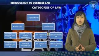 INTRODUCTION TO BUSINESS LAW [upl. by Tisbe]