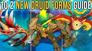 Complete Guide to All New Druid Forms in Patch 102 Guardians of the Dream WoW [upl. by Eardnaed]