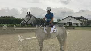 At Home With Glenbeigh Farm  Cavaletti Exercises  Show Jumping Training Tips [upl. by Neirb665]