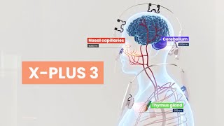 X Plus 3  PBM Visualization [upl. by Cone276]