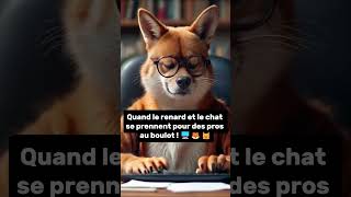 Quand le renard et le chat se prennent pour des pros au boulot  🖥️🦊🐱 [upl. by Sandye]