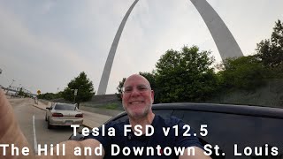 Tesla FSD v125 The Hill and Downtown St Louis [upl. by Alvarez]