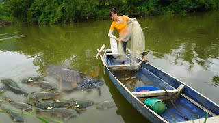 Amazing Harvesting fish after flood with nets  Goes to the village to sell fish  Farm life [upl. by Anyehs224]