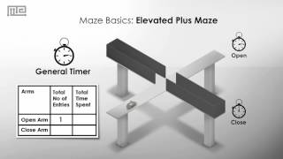 Elevated Plus Maze [upl. by Iatnahs]