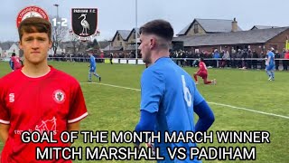 March Goal Of The Month Winner [upl. by Enneite532]