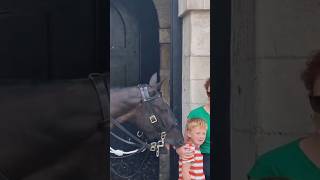 The horse nudges the boy on the neck horseguardsparade [upl. by Natsirhc826]