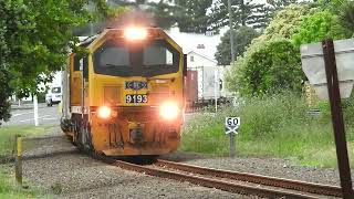 623 leaving and 620 arriving Napier New Zealand 6th November 2023 [upl. by Nyleahs592]