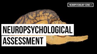 Neuropsychological Assessment Series 1 [upl. by Ellierim137]