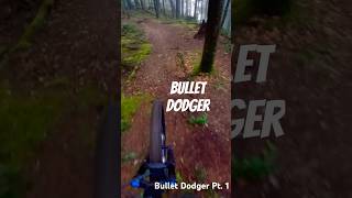 This Mountain Bike Trail is Awesome Bullet dodger mtb fast flow air [upl. by Ahselyt184]