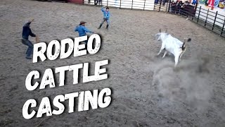 Rodeo Masbateno  Cattle Casting Down [upl. by Landes893]