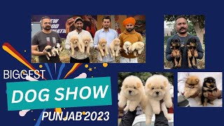 Big Dog Show In Punjab Ludhiana 2023 dogshow2023 [upl. by Chaffee]