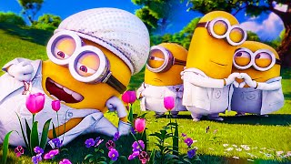 Grus Wedding The Minions Dance 😂  Despicable Me 2  CLIP 🔥 4K [upl. by Mayhs161]