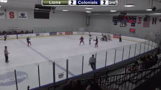 RMU vs Lindenwood  Womens Hockey Highlights Game 2 [upl. by Nella]