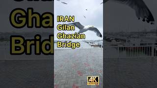 Ghazian Bridge  Gilan  IRAN [upl. by Godspeed]