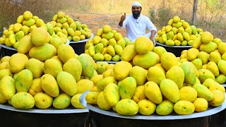 Quick amp Healthy Mango Smoothie  Tasty मैंगो स्मूदी  Summer Drinks  Nawabs Kitchen [upl. by Ydnim]