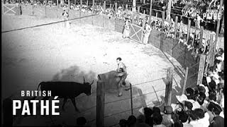 Picasso Sees A Bull Fight 1955 [upl. by Chapland]