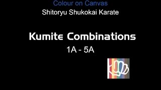 Shitoryu Shukokai Karate Kumite Combinations 1A  5A [upl. by Adnicul237]