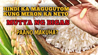 Kapangyarihan ng MUTYA ng BIGAS paano makuha  MasterJ Tv [upl. by Adlecirg432]