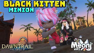 FFXIV Black Kitten Minion  Raid Spoilers In Text [upl. by Aniret]