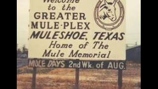 Muleshoe [upl. by Nolyarg]