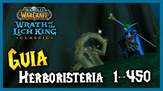 GUÍA subir HERBORISTERIA 🌱 1  450  RUTAS de FARMEO  WoW WotLK Classic [upl. by Tihom410]