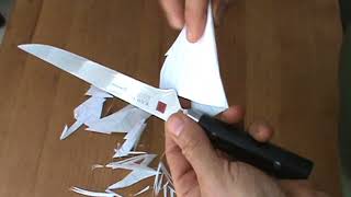 best fillet knife in the world [upl. by Imeka]