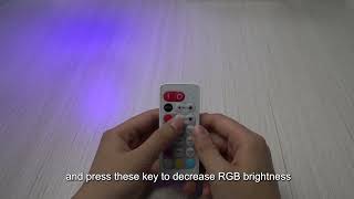 Rayrun Umi Smart Wireless LED Remote  BR01 [upl. by Seuqirdor550]