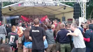 Defekt Muzgó  Wszyscy Jedziemy Czochraj Bobra Fest 2016 [upl. by Magas]