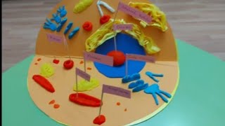 Hayvan Hücresi Maketi yapımı Animal Cell Model making🐵🐶🐺🐱🦁🐮🐭🐰🐹🦫🐿🦥🦨🦘🐟🐍 [upl. by Halla693]