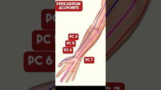 The Pericardium Meridian Acupuncture Points acupuncture [upl. by Annahsohs]