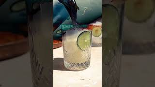 Jason Derulo  Spicy Margarita popmusic [upl. by Geri]