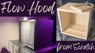 Building a Laminar Flow Hood for Mushroom Cultivation [upl. by Nonnek]