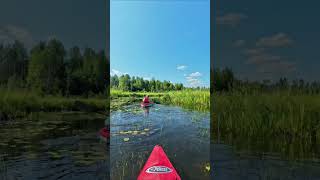 Kayaking Forfar Lake shorts [upl. by Charyl716]