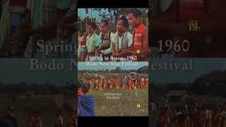 BODOLAND BODO CALSAR  BODONI JARIMIN MWSANAI 1960 dance [upl. by Lakym710]